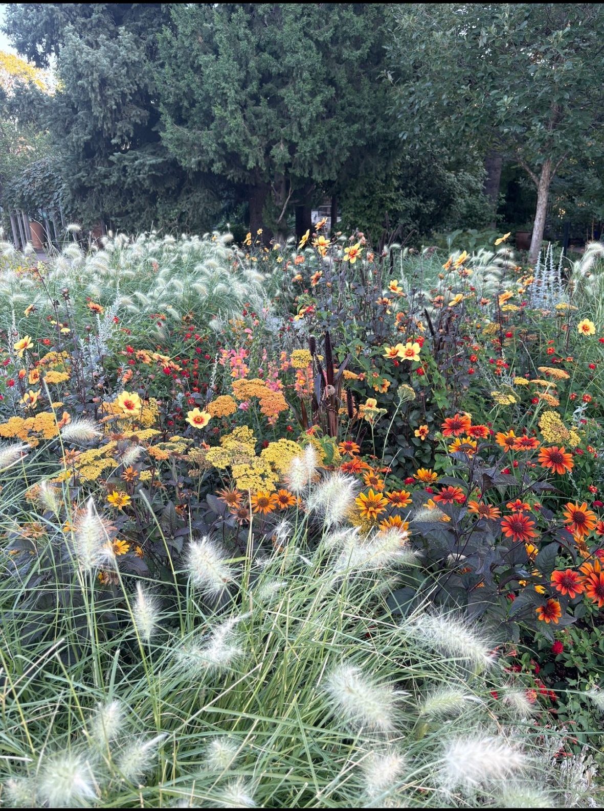 Featured image for “Day at the Denver Botanic Garden Event”