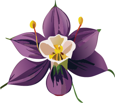 graphic icon of a Columbine flower